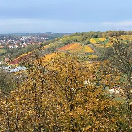 Boselblick Meissen