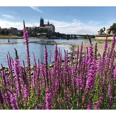 Boselblick